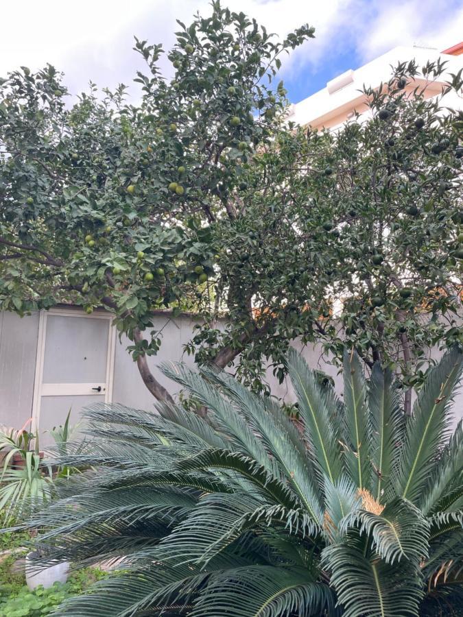 Tangerine Tree House Lägenhet Cagliari Exteriör bild