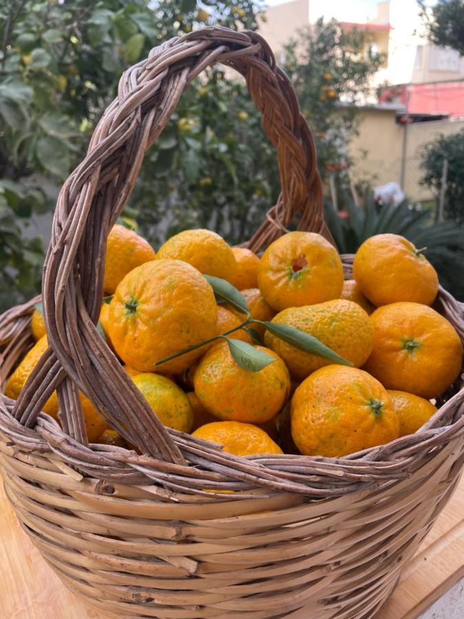Tangerine Tree House Lägenhet Cagliari Exteriör bild