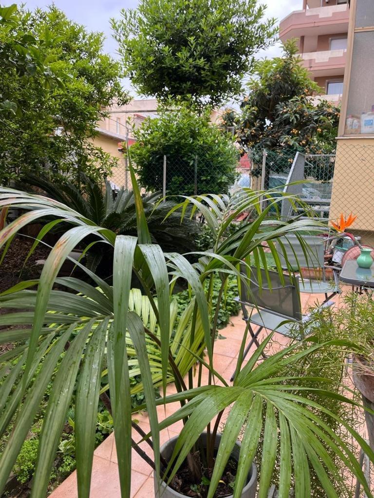 Tangerine Tree House Lägenhet Cagliari Exteriör bild